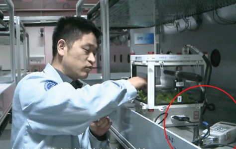 中国宇航员使用湿敏传感器成功培育太空莴苣