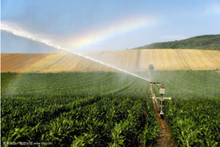 农业灌溉系统采用液位传感器实现农业精准灌溉
