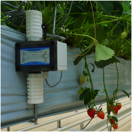 红外CO2传感器在温室大棚的应用指导