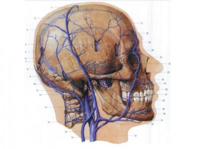 神经外科用颅内参数监测系统用传感器推荐