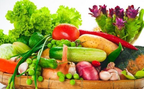 二氧化碳传感器MINIR-5帮助延长蔬菜水果存储期