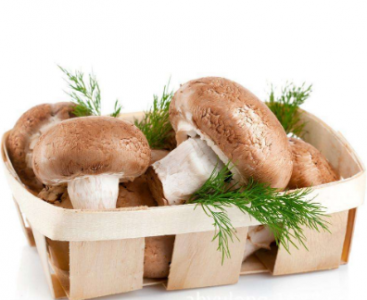 二氧化碳变送器在蘑菇种植气肥控制中的关键作用