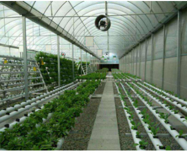 温室大棚种植高产离不开二氧化碳传感器