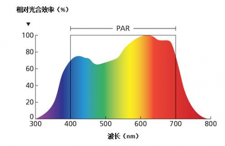 光合有效辐射传感器在动植物养殖中的应用