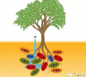 CO2传感器用于微生物降解实验中CO2浓度检测