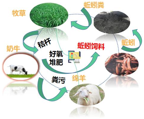 QQ截图20220523150827
