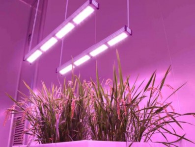 应用在LED植物照明中的LED照明灯
