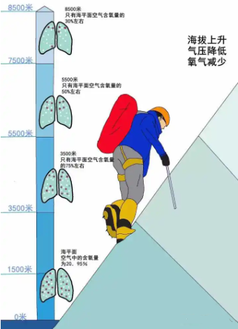 QQ截图20220901110932