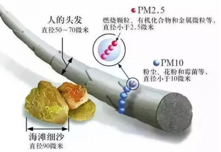 PM10颗粒物的危害及控制措施