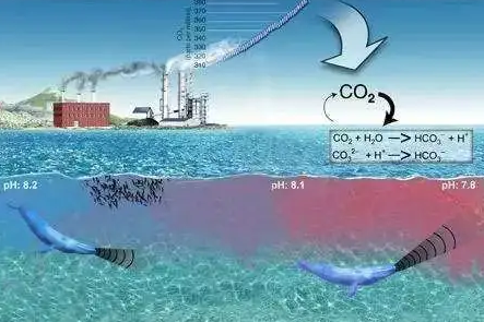 CO2传感器NG2-A-1可用于测量海水溶解中的二氧化碳含量