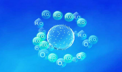 电化学过氧化氢传感器测定食品中过氧化氢含量