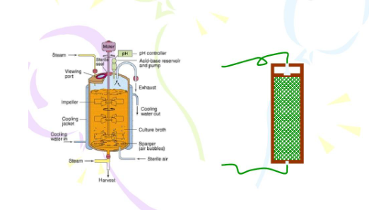 氧化锆氧气传感器用于检测生物反应器尾气中的氧气含量