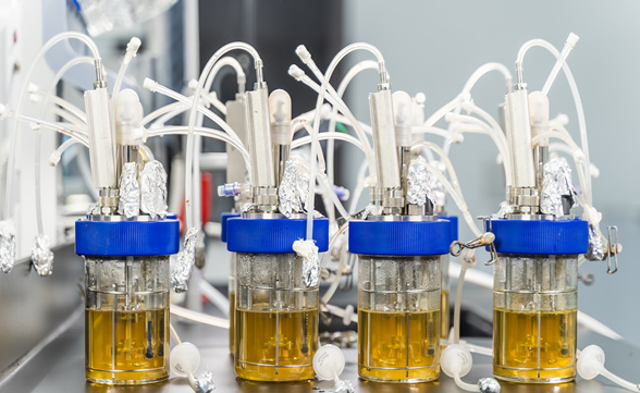 极限电流型氧化锆氧气传感器在发酵罐尾气在线分析仪中的应用