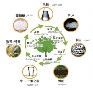 二氧化碳传感器_微生物发酵过程中CO2浓度水平变化的影响