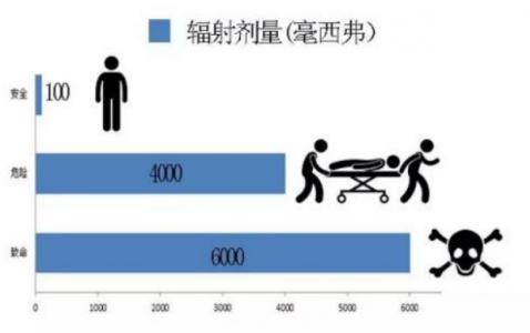 瑞士Teviso 核辐射探测器用于核辐射安全检测