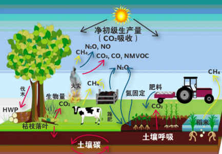 森林土壤氧化亚氮是如何产生_N2O传感器可监测土壤中N2O浓度