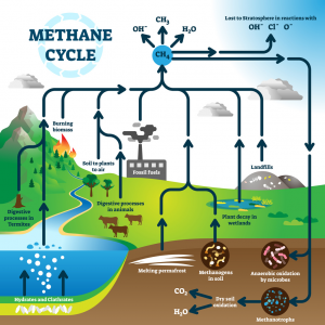 Dynament双气CH4和CO2红外传感器MSH2–LD/HC/CO2的主要应用