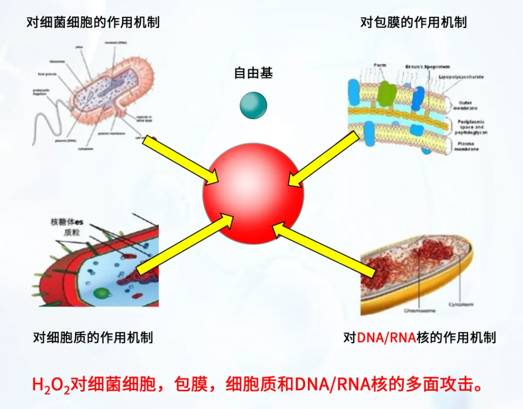 汽化过氧化氢灭菌技术