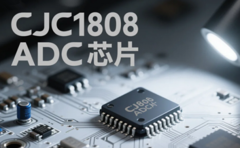 QQ图片20250714165640