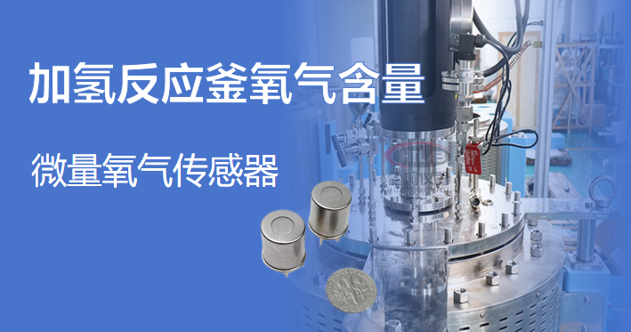 离子流氧气传感器实时监测和控制加氢反应釜的氧气浓度