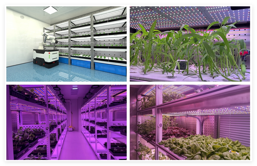 集装箱植物工厂精准环控系统中二氧化碳传感器和温湿度传感器的应用